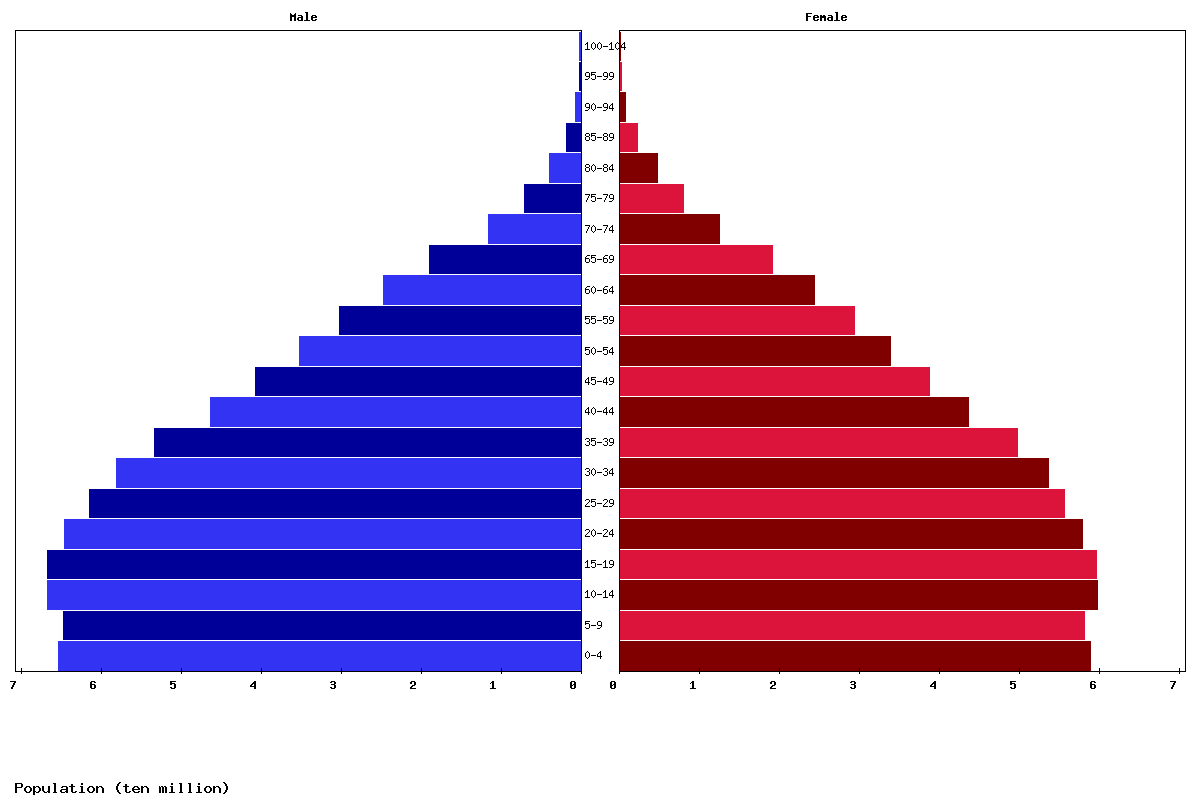 India Age structure and Population pyramid